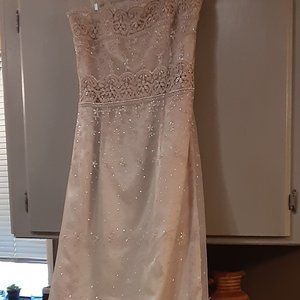 Jessica McClintock Size 12  Bridal/Prom Dress
